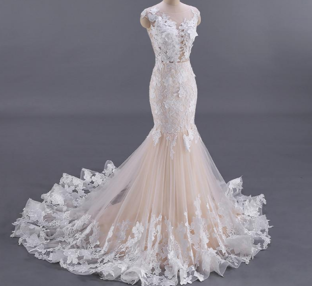 Sexy Backless Floral Appliques Sexy Wedding Dress Champagne Color Mermaid Wedding Dresses