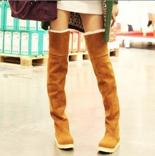 Over Knee Lace Up Plush Warm Winter Boots