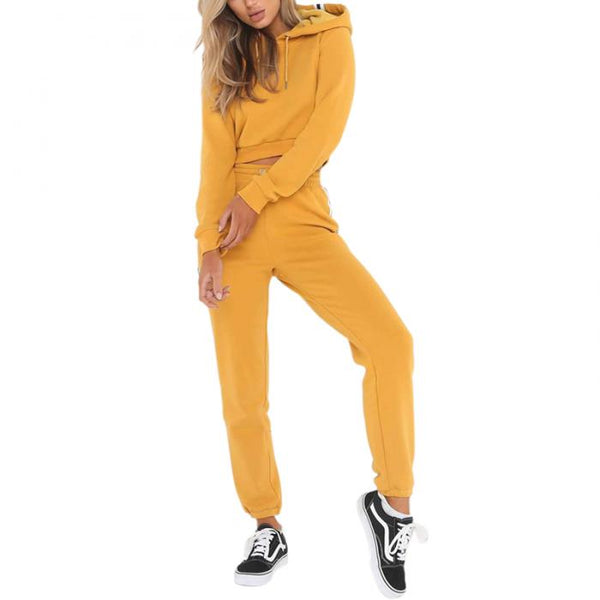 Women Sexy 2 Piece Set Crop Tops + Pants Casual Long Sleeve Hoodie Sweatsuit Set